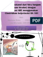 Pabrik Biobutanol Dari Nira Sorgum Rev