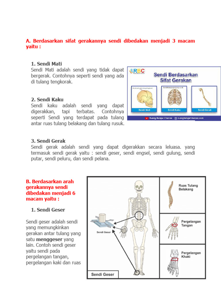 Pengertian dan Contoh Sendi Gulung | PDF
