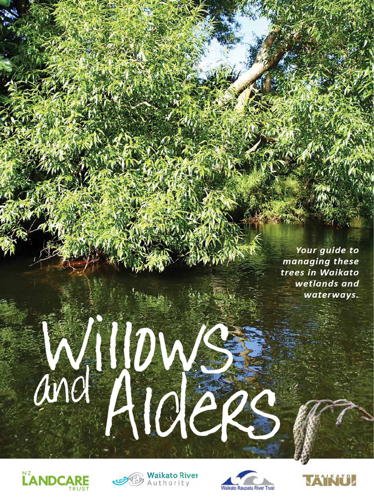 WRA13 021 Willow and Alder Control Guidelines | PDF | Trees | River