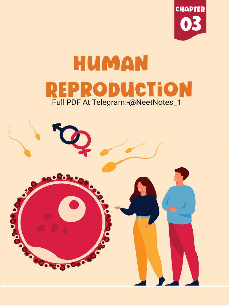 Human Reproduction Notes PDF ?-@AIRJEENEET | PDF