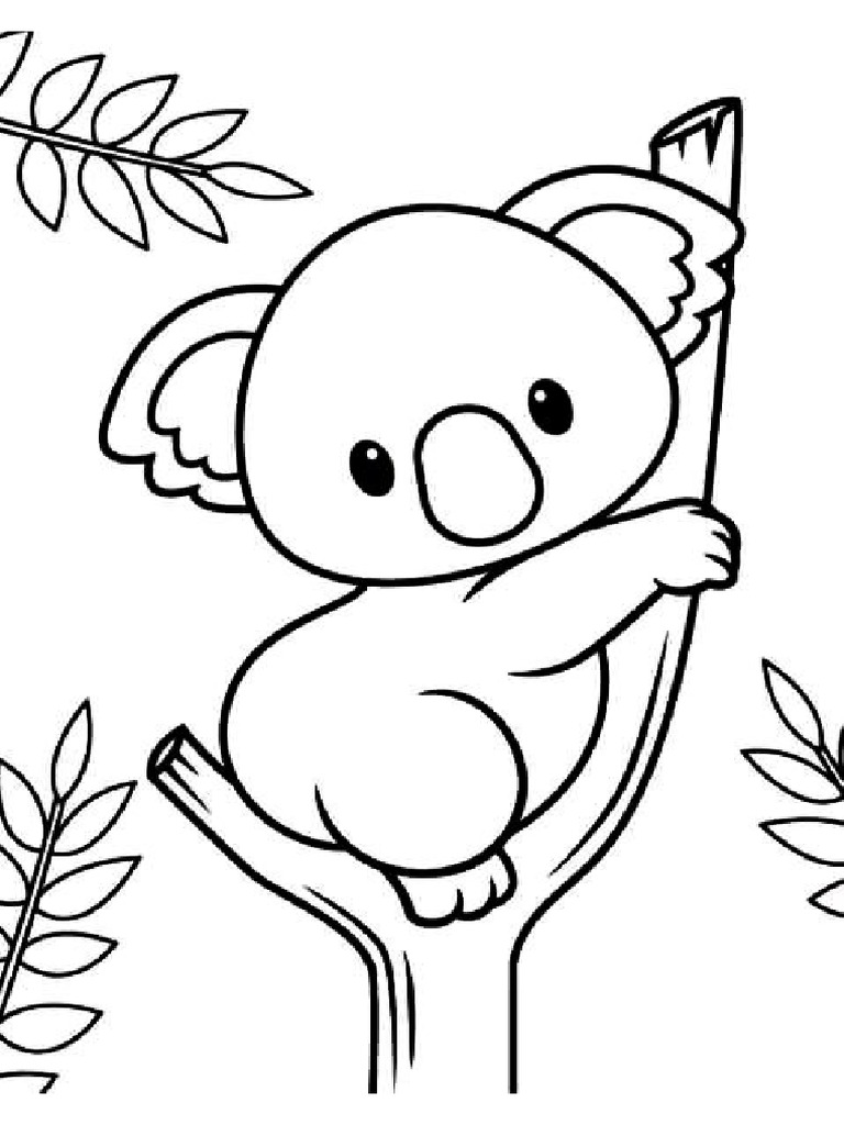 Koala 4 | PDF