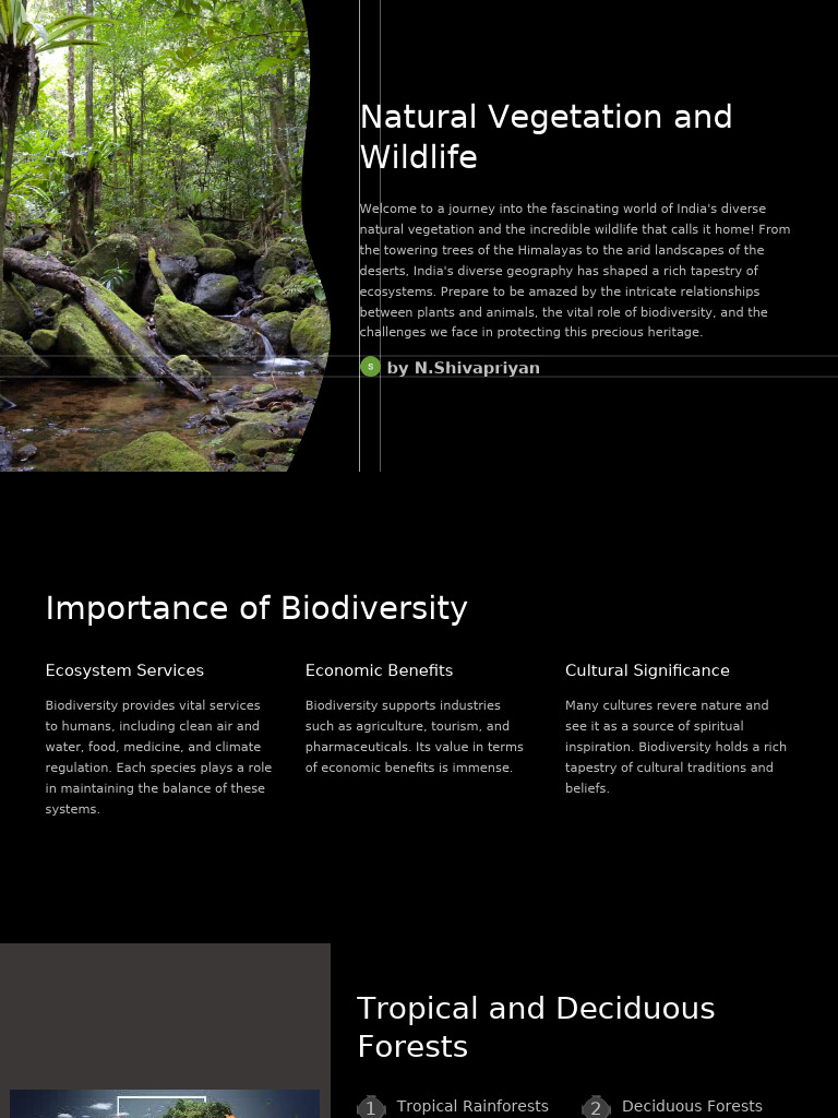 Natural Vegetation and Wildlife | PDF | Forests | Biodiversity