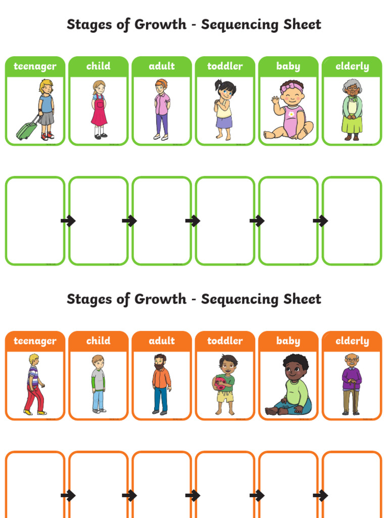 Stages of Growth Sequencing Sheet | PDF