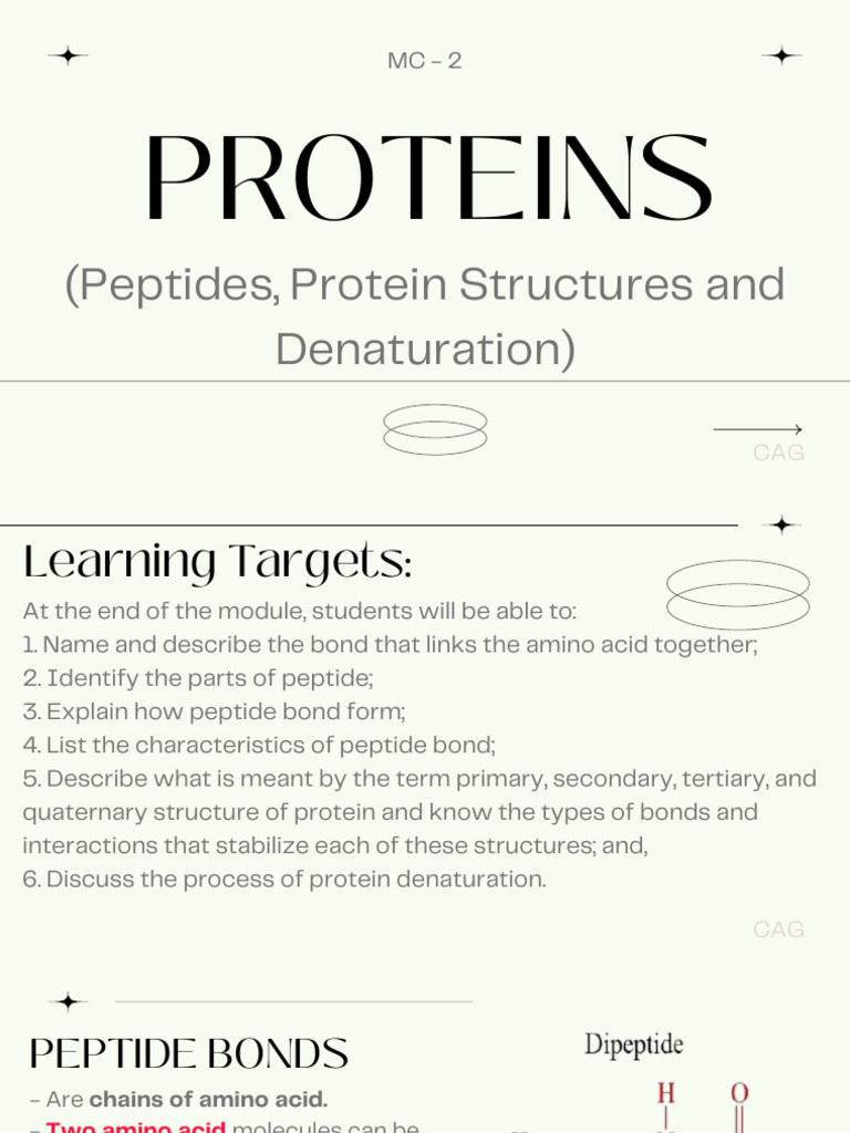 Week 5 Proteins Peptides Structures and Denaturation | PDF | Alpha ...