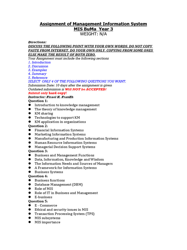 Management Information System Assignment | PDF
