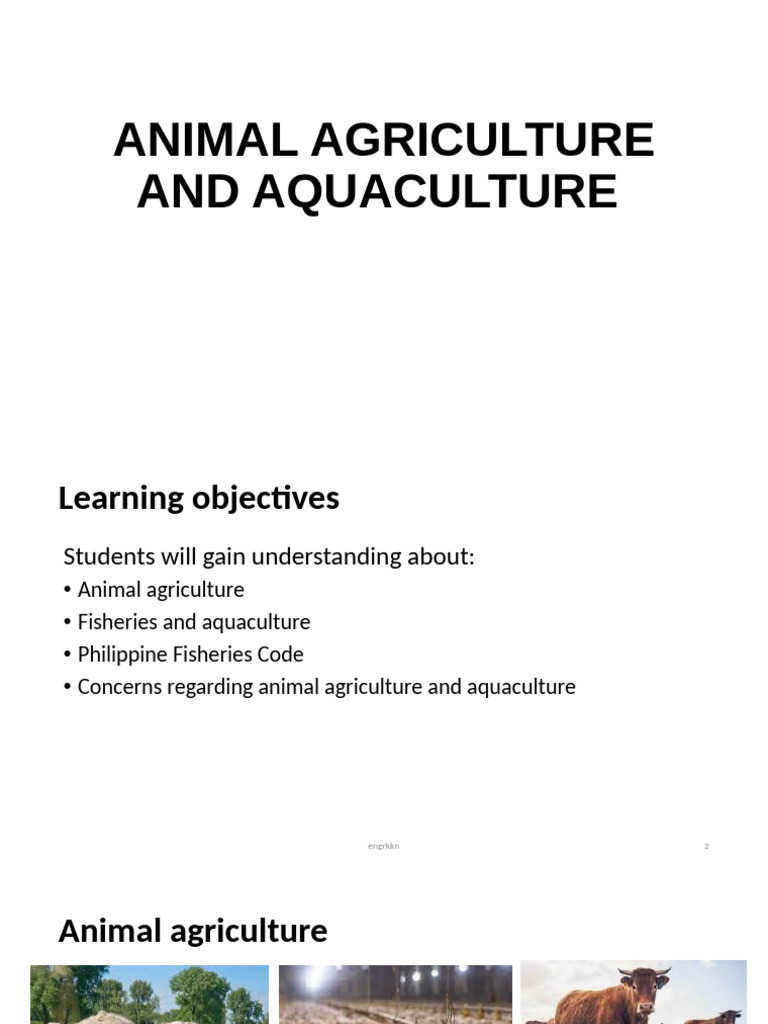 Lesson 7 Animal Agriculture and Aquaculture | PDF | Pig | Poultry