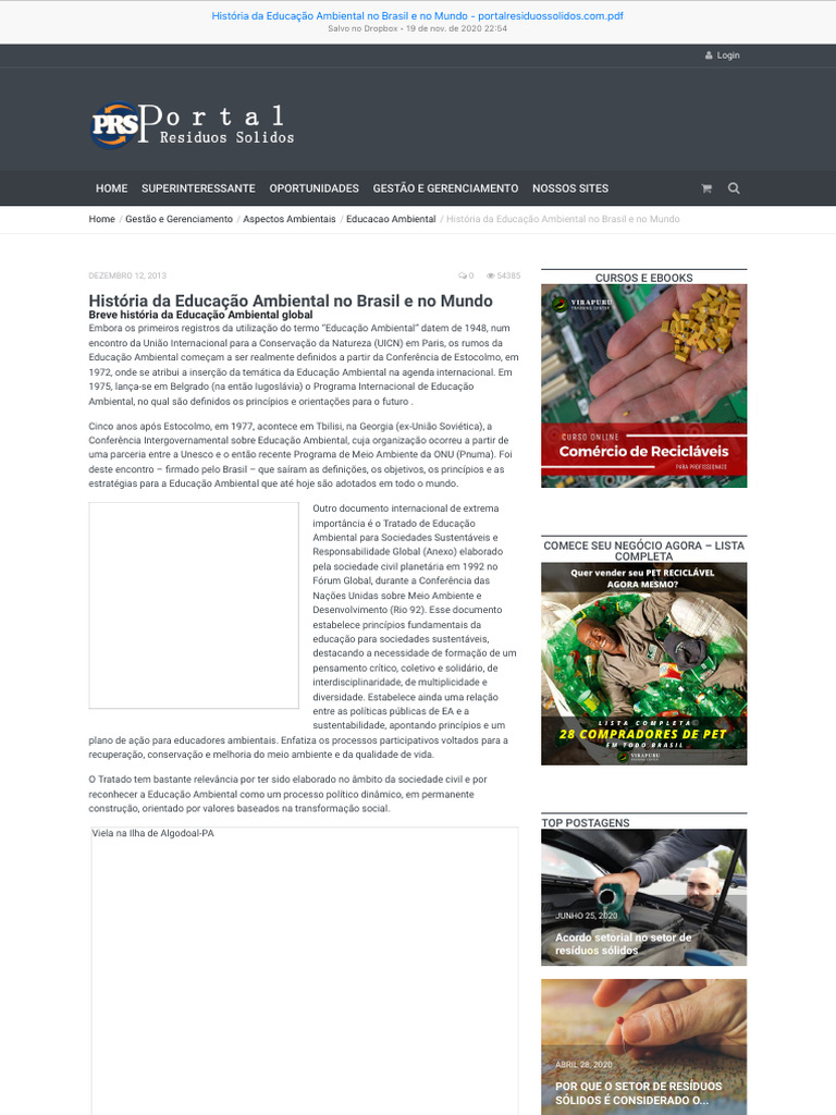 História da Educação Ambiental no Brasil | PDF | Sustentabilidade ...