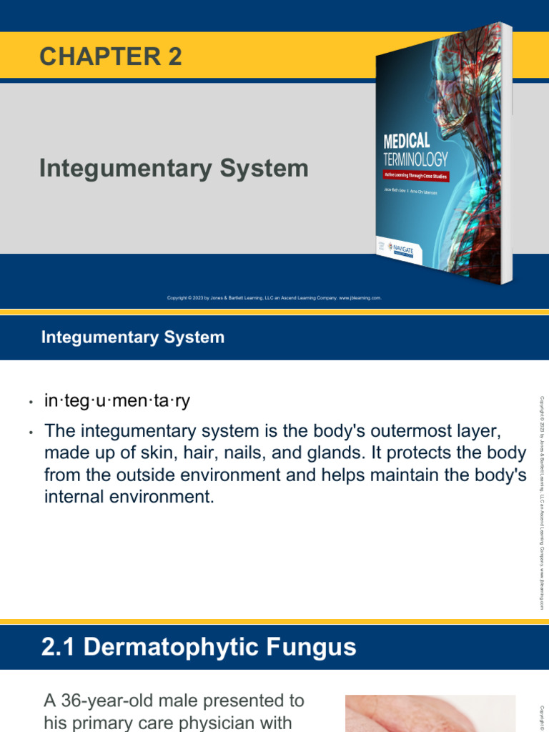 Medical+Term Chapter+2 PPT | PDF | Diseases And Disorders | Medical ...