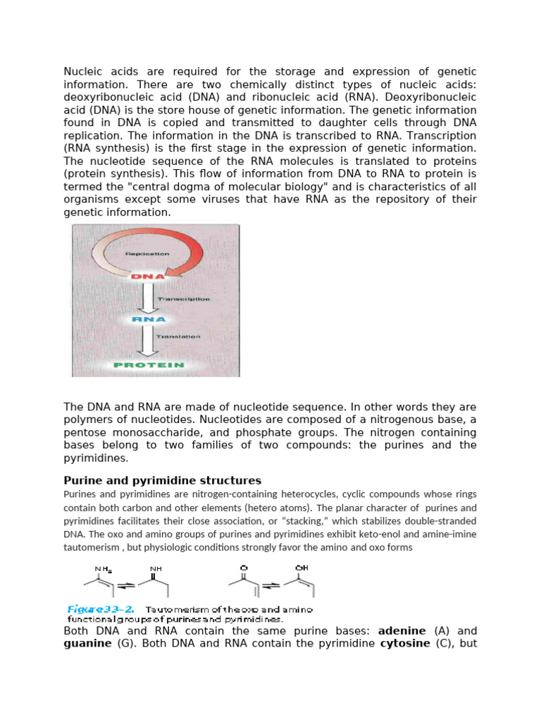 Structure and Function of Nucleic Acids | PDF | Dna | Rna