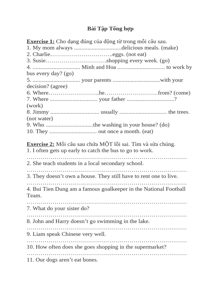 English Verb Exercises for Beginners | PDF