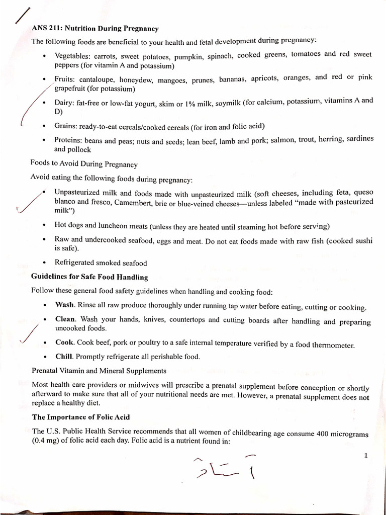 Nutrition During Pregnancy | PDF