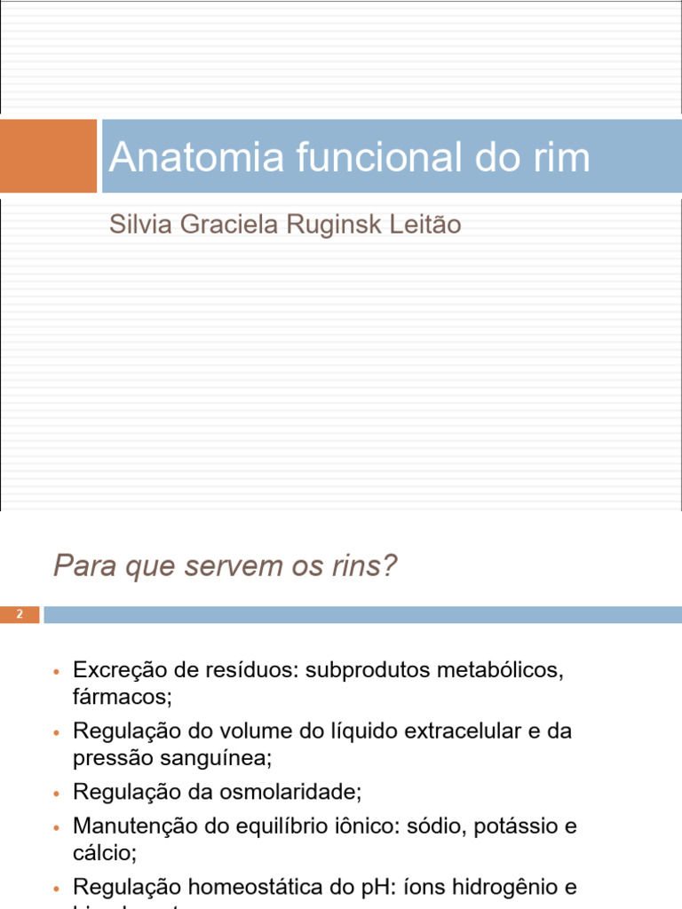 1 - Anatomia funcional do rim-1_250904_132315_250925_151837 | PDF | Rim ...