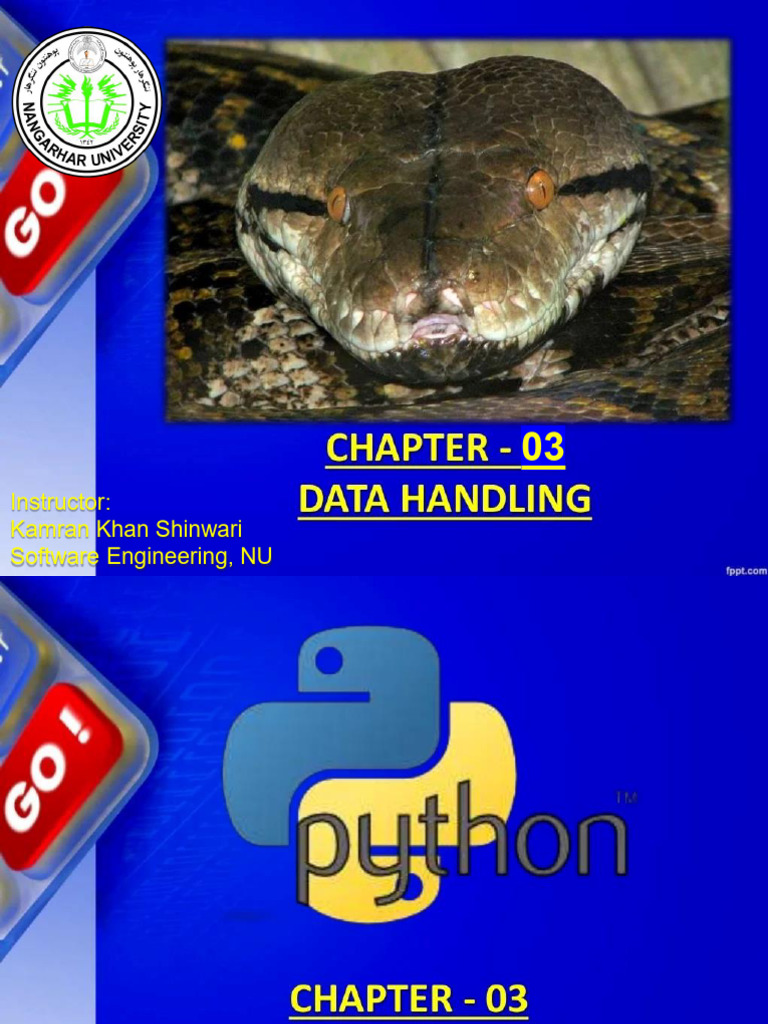 Chap 03 Data Types | PDF