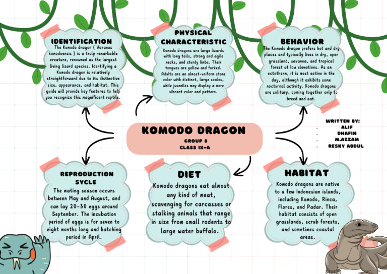 Identifying the Komodo Dragon Guide | PDF | Komodo Dragon | Zoology