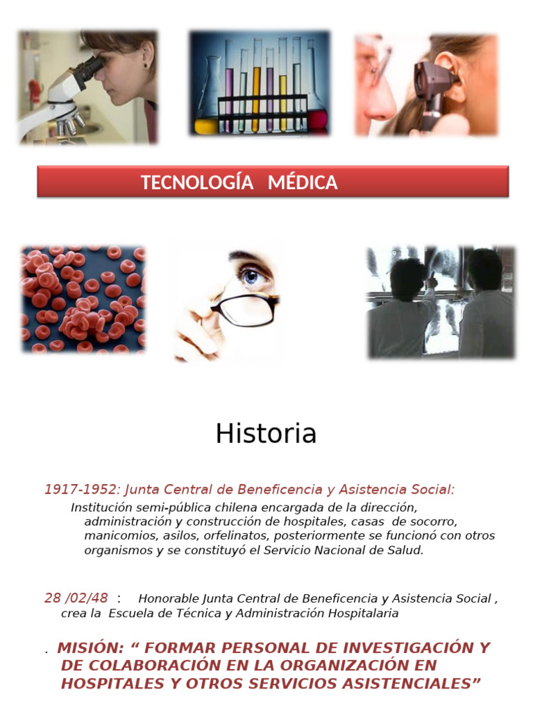 Clase+TM+Historia+ +áreas+de++desempeño | PDF | Medicina | Maestros