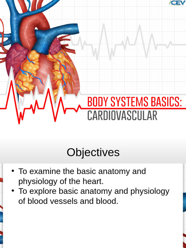 Heart and Blood Vessel Anatomy Guide | PDF | Heart Valve | Atrium (Heart)
