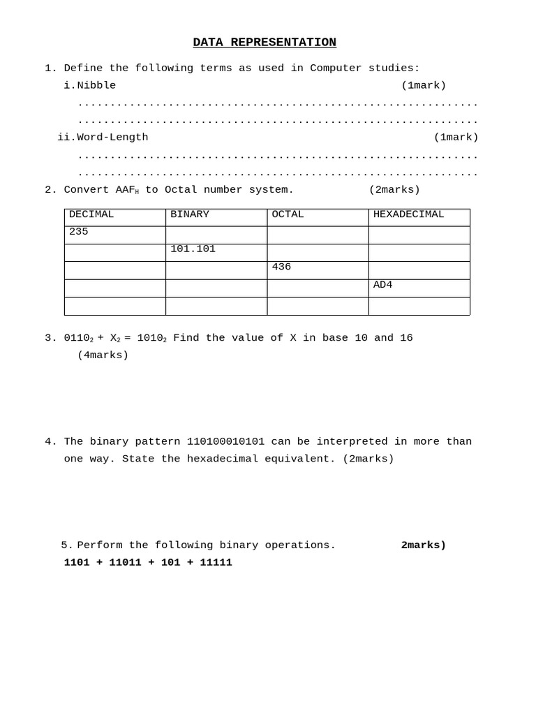 Data Representation in Computer Studies | PDF