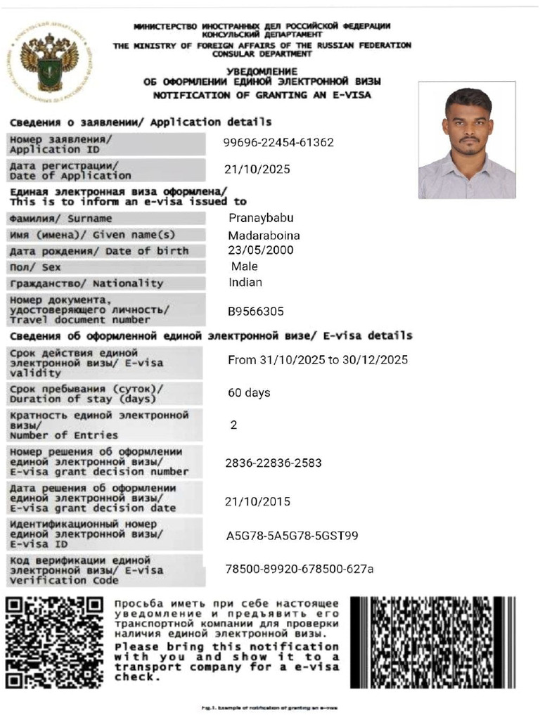 E Visa | PDF
