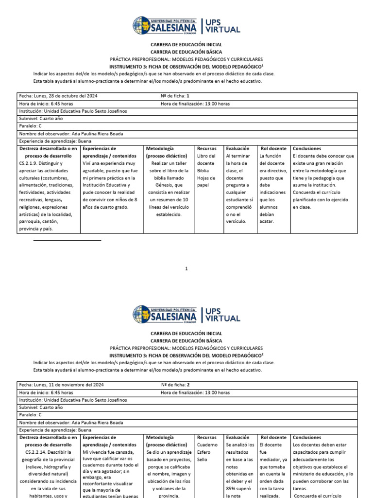 Observación de Modelos Pedagógicos en Clases | PDF | Plan de estudios ...
