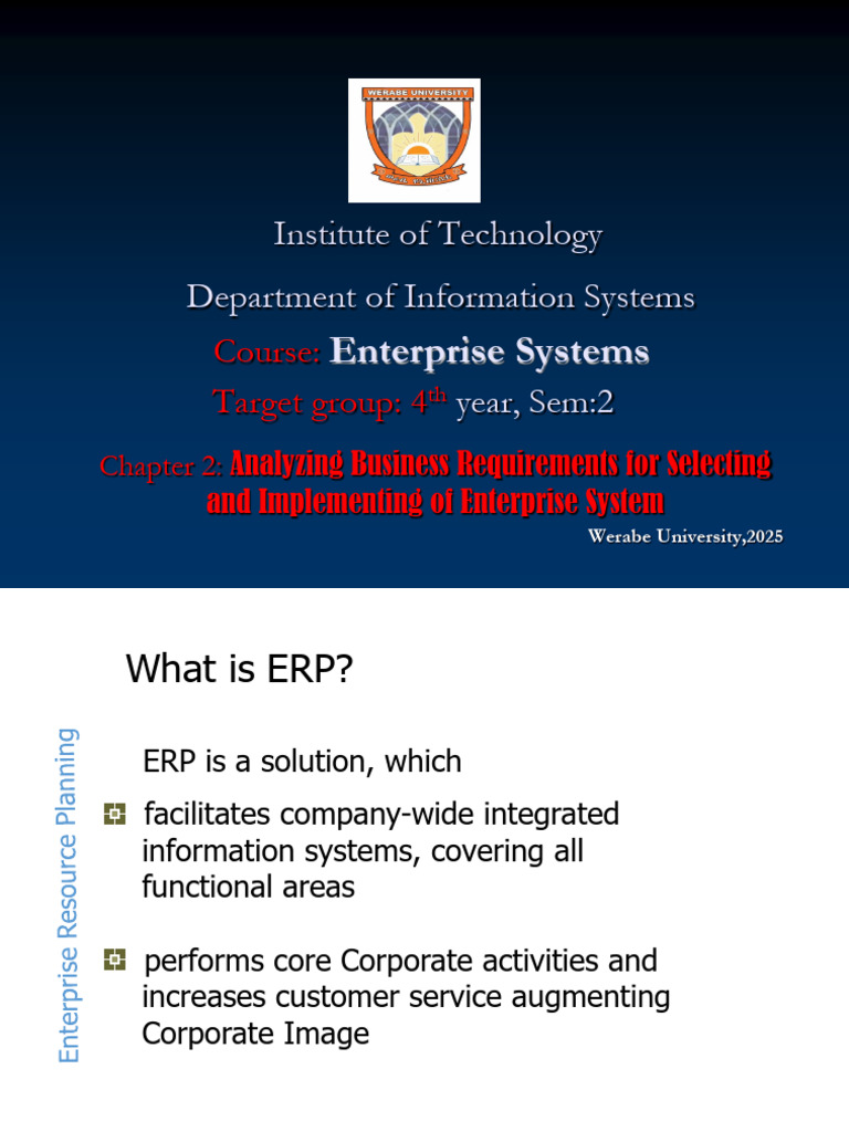 ERP System Selection and Implementation Guide | PDF | Enterprise ...