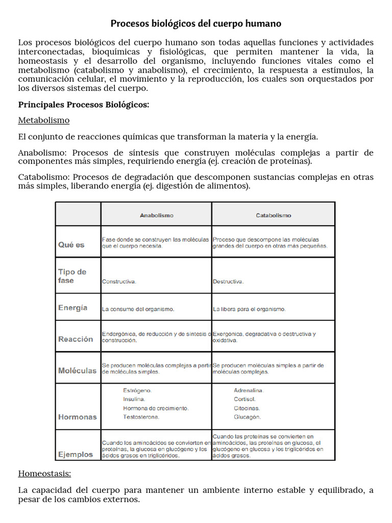 Procesos Biológicos del Cuerpo Humano | PDF