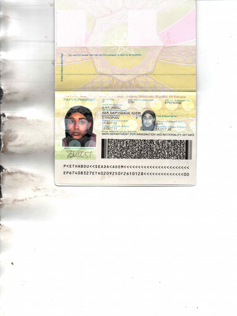 M Shan Passport | PDF