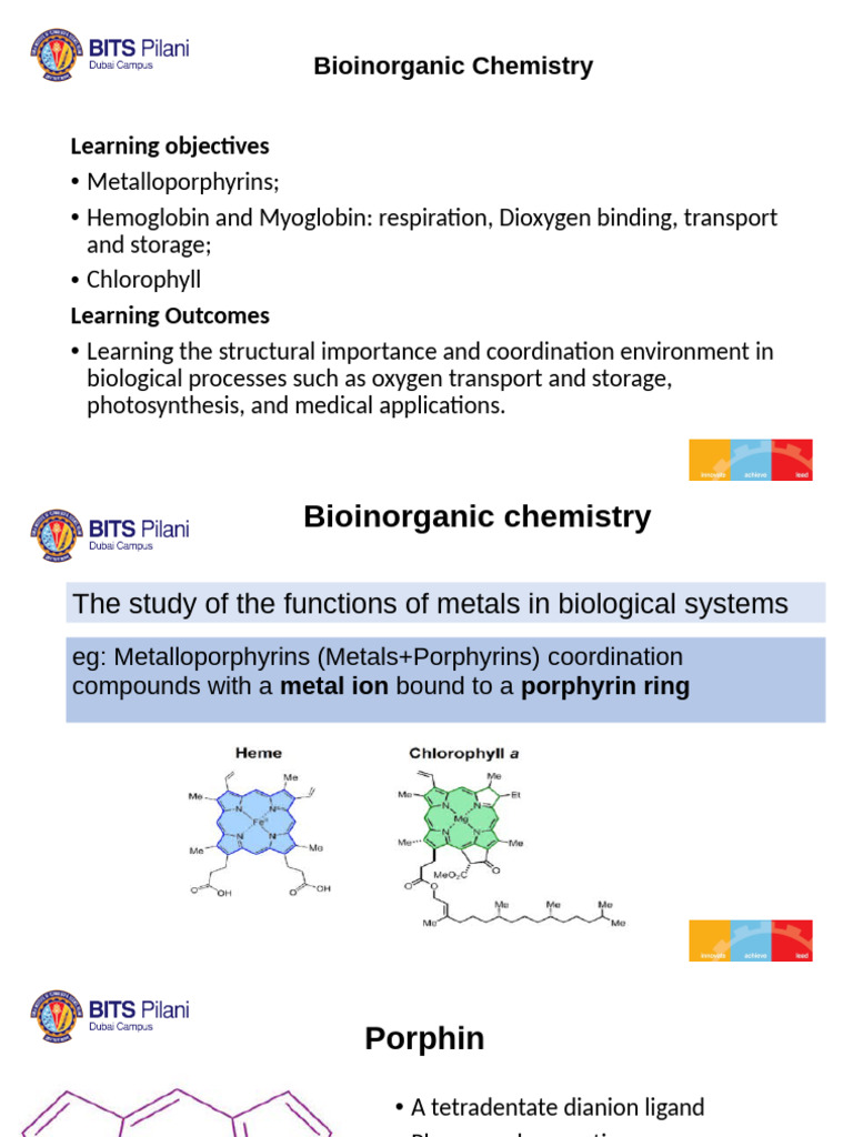 Bioinorganic Chemistry: Metals in Biology | PDF | Hemoglobin | Porphyrin