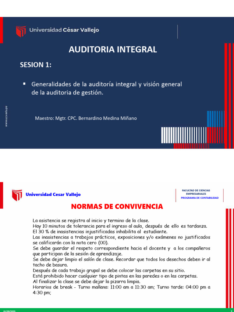 Normas y Conceptos de Auditoría Integral | PDF | Auditoría | Auditoría ...