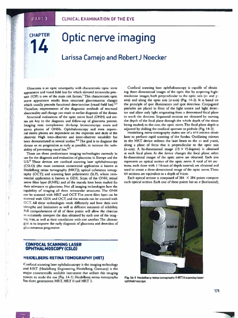 Optic Nerve Imaging 2545 2545 | PDF