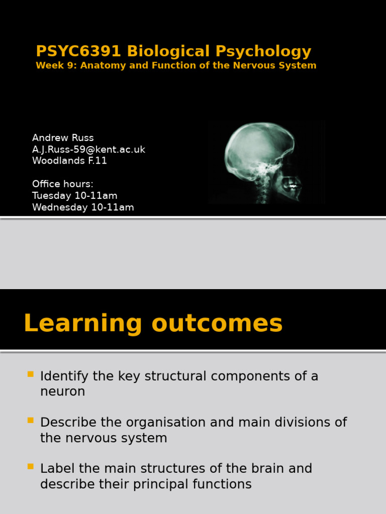 Nervous System Anatomy and Functions | PDF | Neuron | Nervous System
