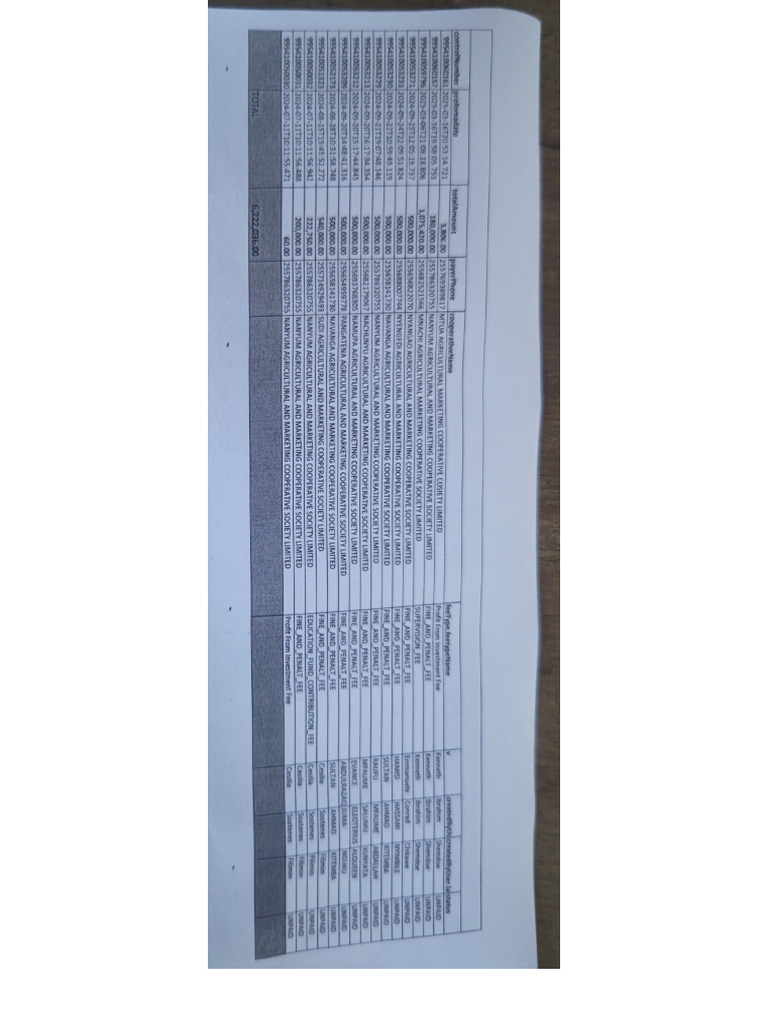 ACE Scanner - 2025 - 10 - 20 | PDF