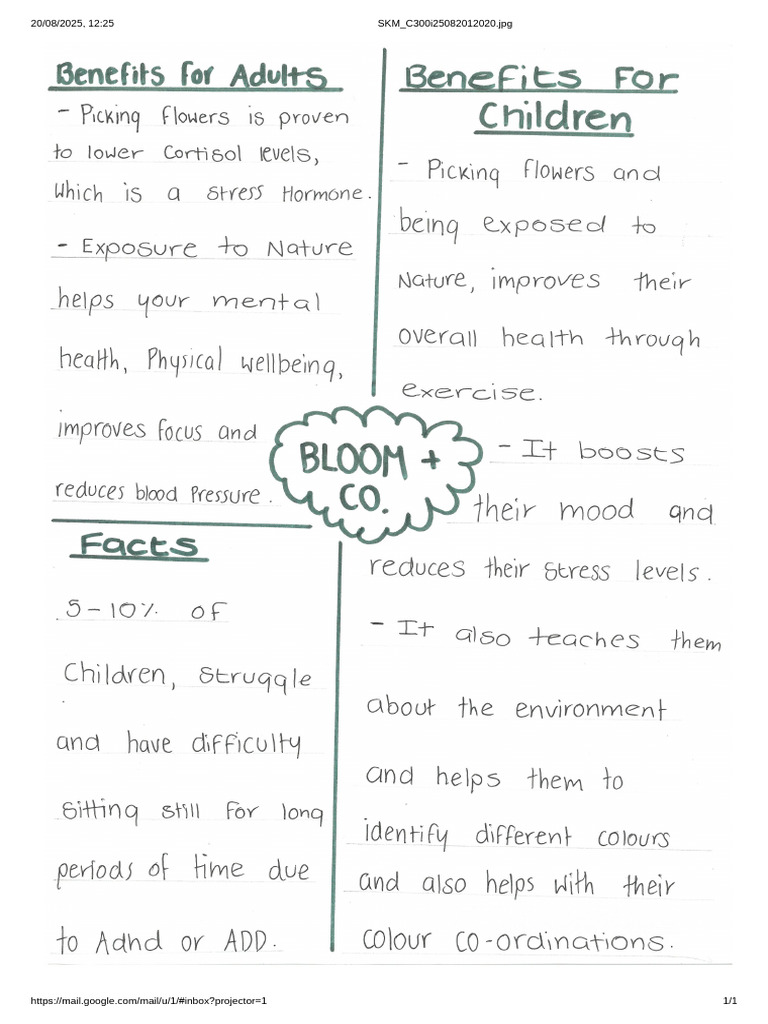 Mind Map | PDF