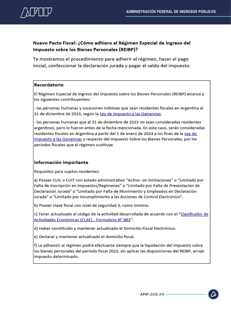 Paso A Paso Afip - Reibp | PDF | Impuestos | Impuesto sobre la renta