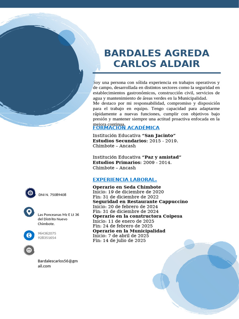 CV Carlossss | PDF