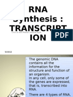 RNA Synthesis: Transcript ION: Click To Edit Master Subtitle Style