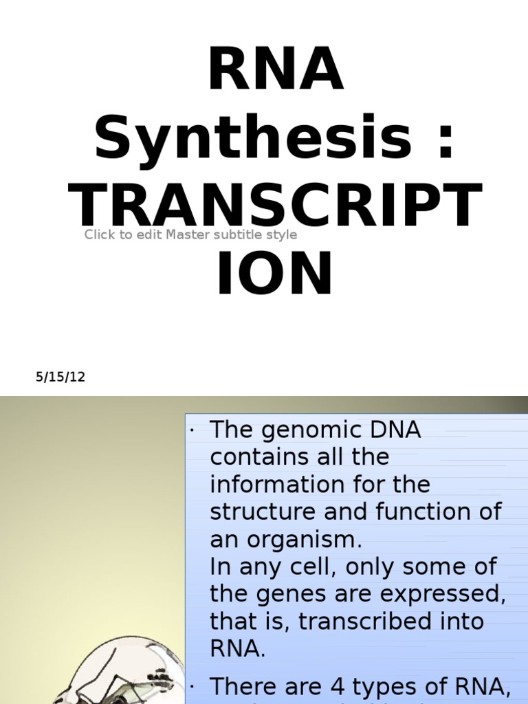 RNA Synthesis and Transcription Process | PDF