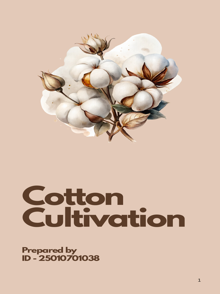 baroda style chaniya choli