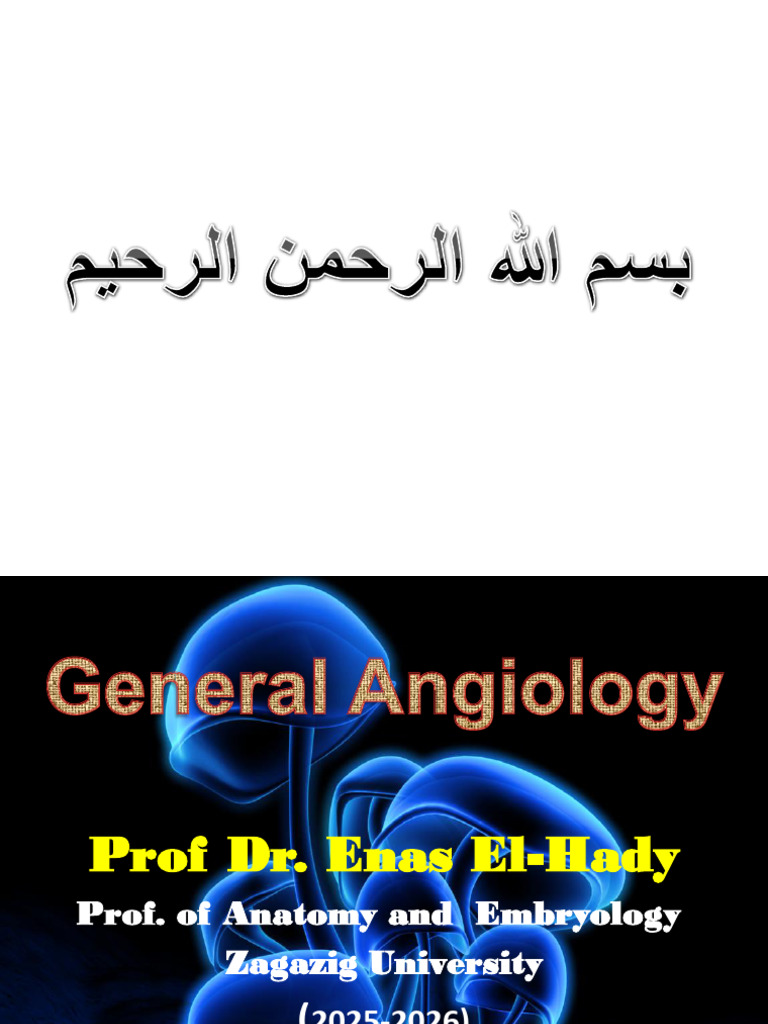 Overview of General Angiology | PDF | Lymphatic System | Circulatory System