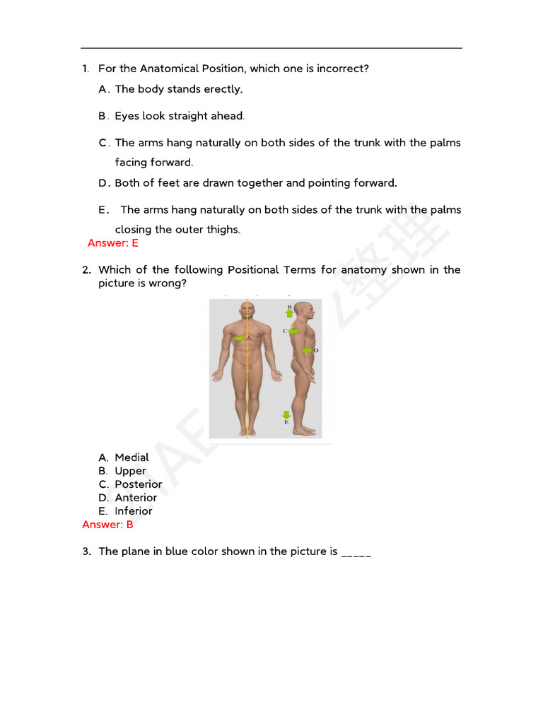 Open 1 - Tests Summary of Human Structure 5 | PDF