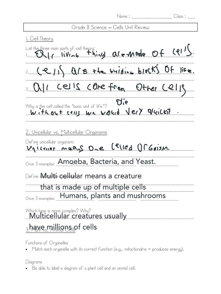Grade 8 Science: Cells Unit Review | PDF