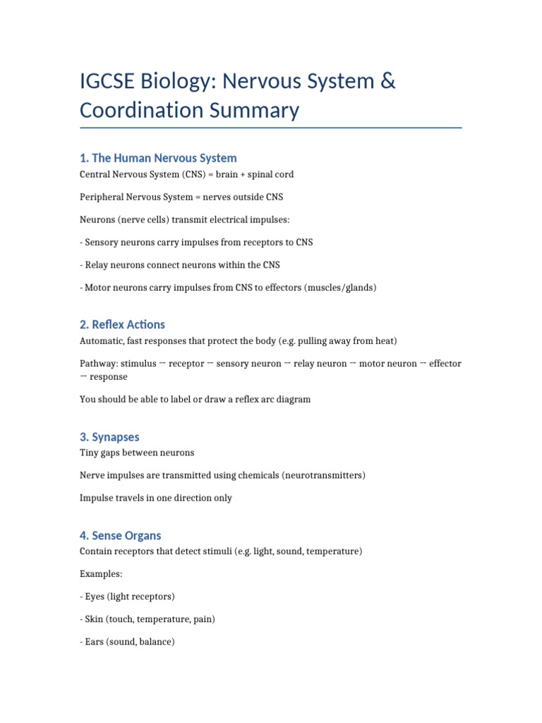 IGCSE Biology: Nervous System Overview | PDF