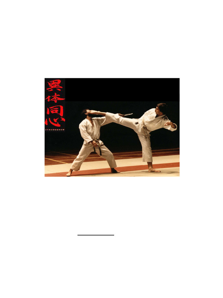 Karate Manual | PDF