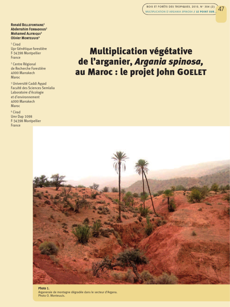 Multiplication Végétative de l'Arganier | PDF | Greffe (botanique ...