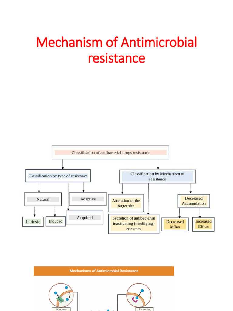 Mechanism of Antimicrobial Resistance and Its Prevention | PDF ...
