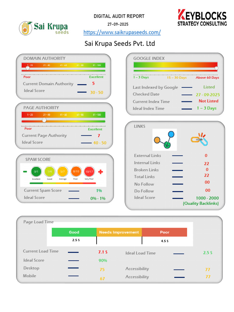 Sai Krupa Seeds - Digital Audit | PDF | Search Engine Optimization ...