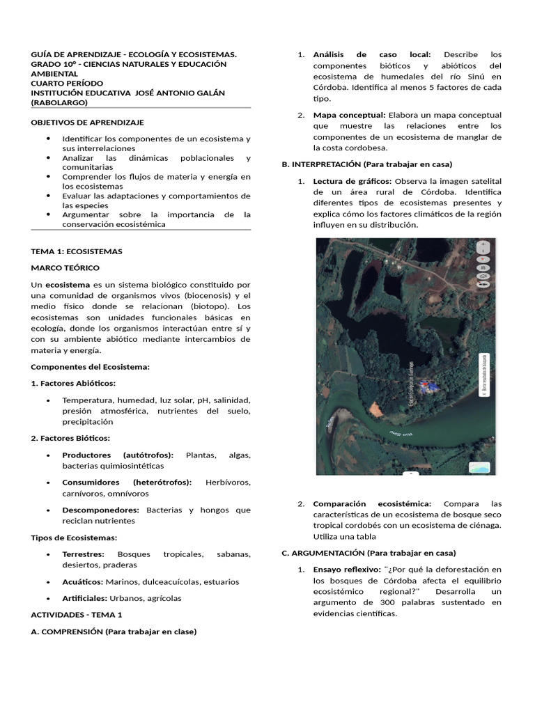 Guía de Ecología y Ecosistemas 10° | PDF | Ecosistema | Red alimentaria