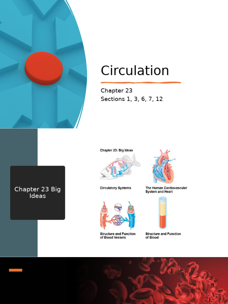 Overview of Human Circulatory System | PDF | Circulatory System | Blood ...