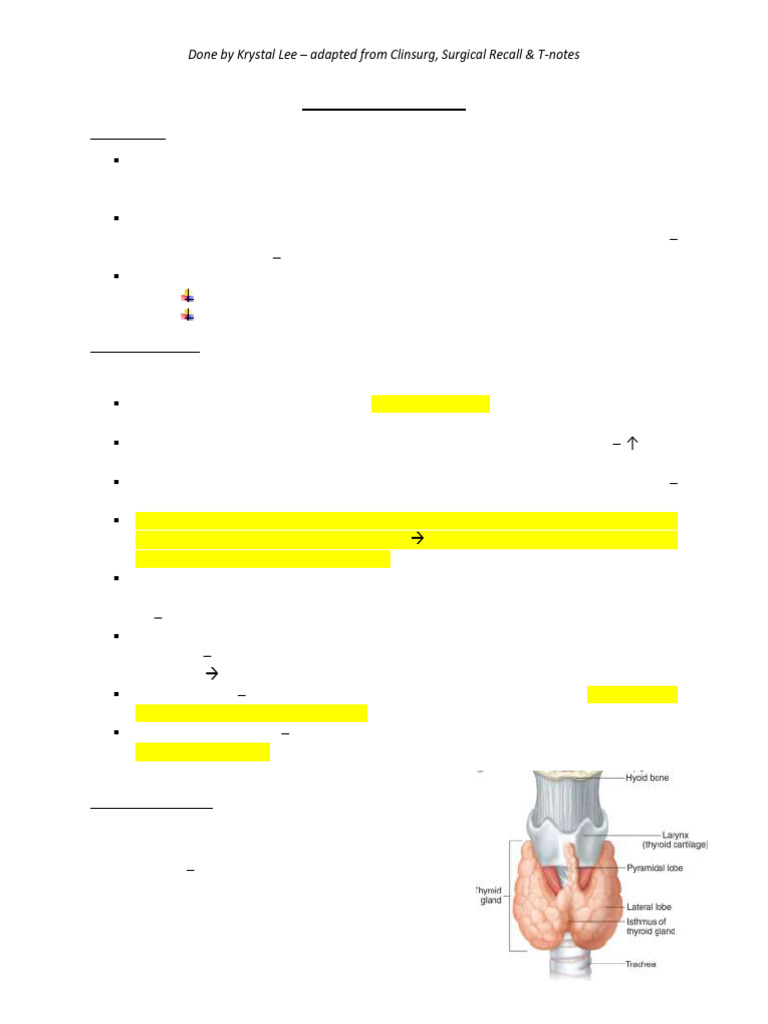 Thyroid Disease Overview and Anatomy | PDF | Thyroid | Hyperthyroidism