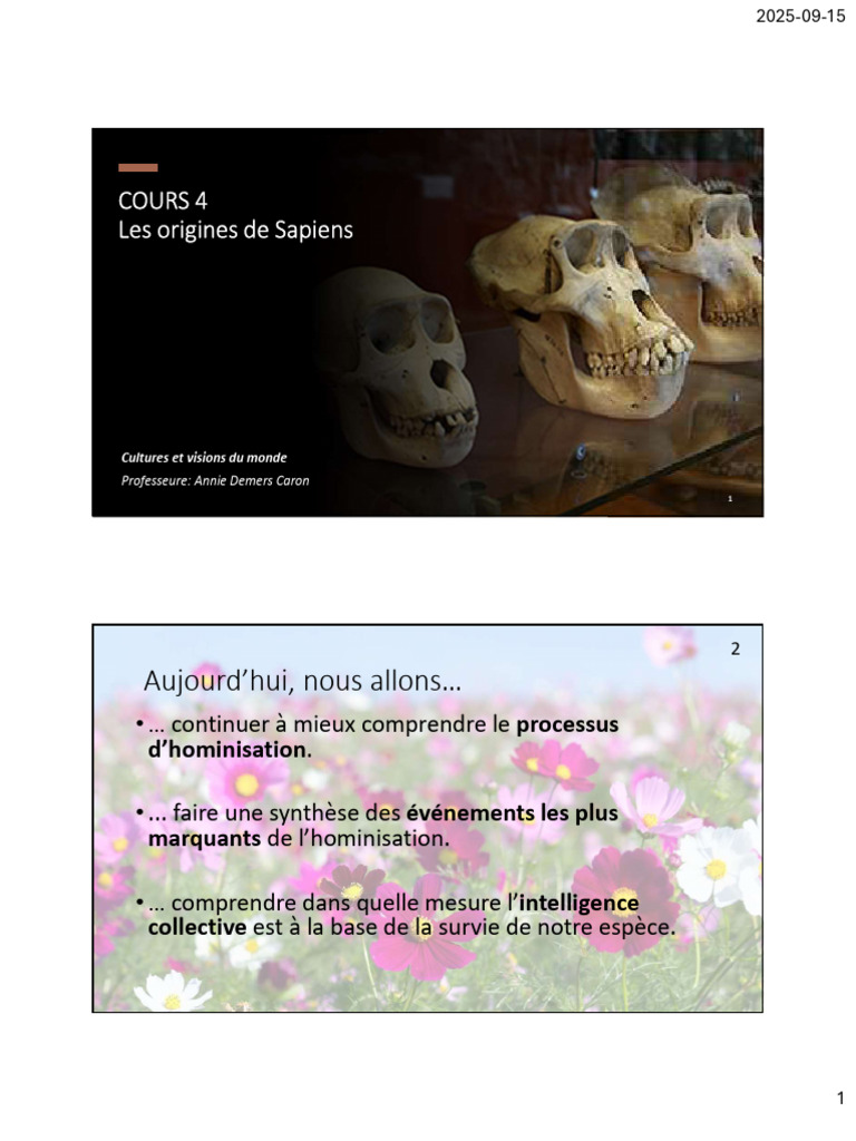 Origines de Sapiens : Hominisation et Culture | PDF | Humain
