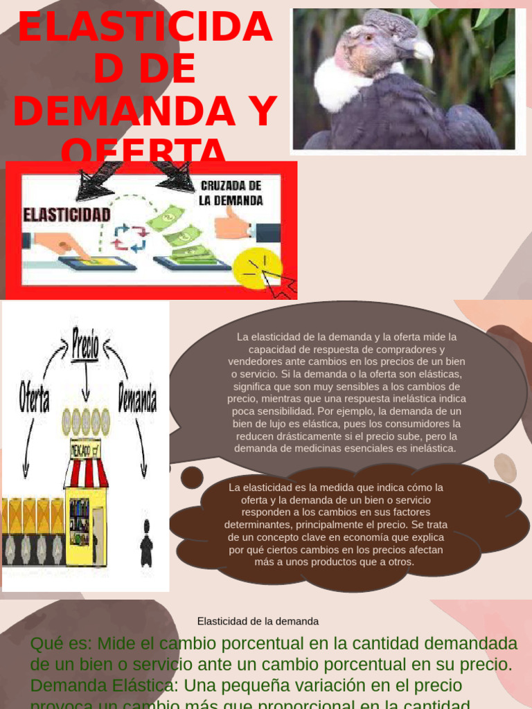 Elasticidad de Oferta y Demanda | PDF | Elasticidad (economía) | Oferta ...
